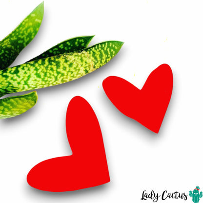 Pendientes Maxi Corazones Rojos Lady Cactus
